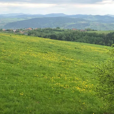 Emerald Hills * Januszowa