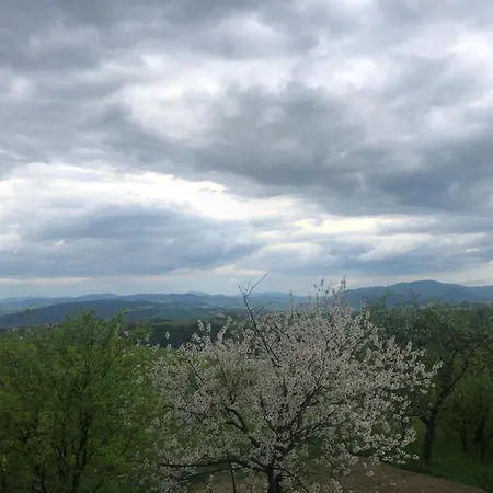 Apartman Emerald Hills