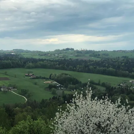 Apartament Emerald Hills Januszowa