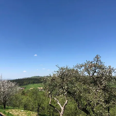 Emerald Hills Apartman Januszowa