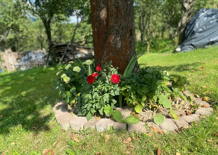 Emerald Hills * Januszowa