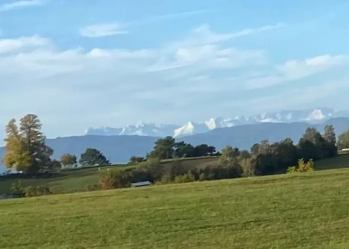 Emerald Hills * Januszowa