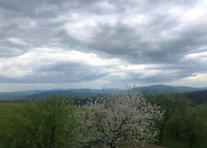 Apartament Emerald Hills